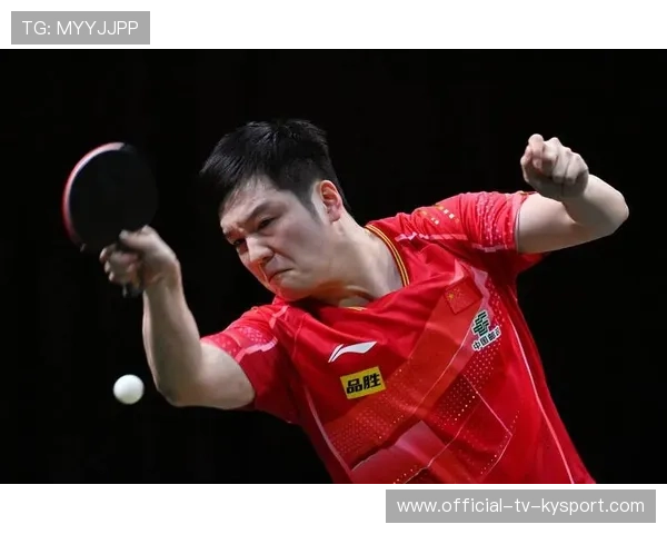 专家认可樊振东状态回勇,技术全面提升,樊振东2017采访专访 专家认可樊振东状态回勇,技术全面提升,樊振东2017采访专访