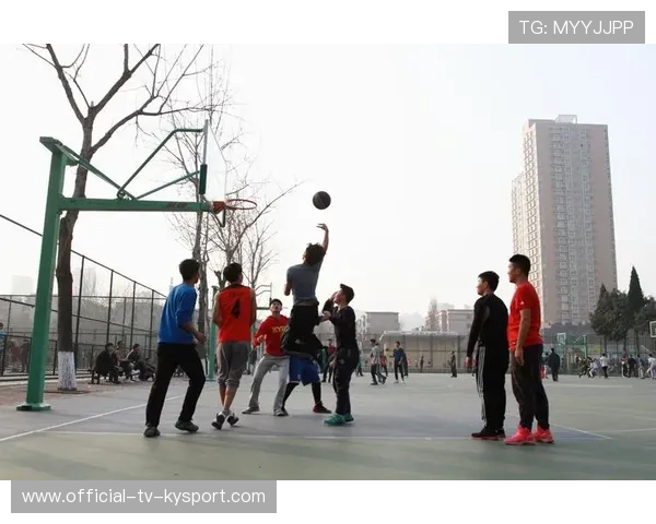 篮球运动在中国城市户外公共场所的使用频率数据分析，室外篮球场使用年限